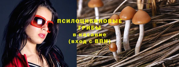 кокаин VHQ Гусев
